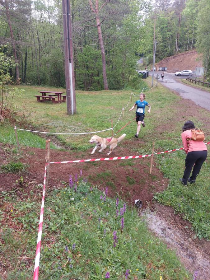 WhatsApp Image 2025-05-11 à 13.41.43_8387e9d6